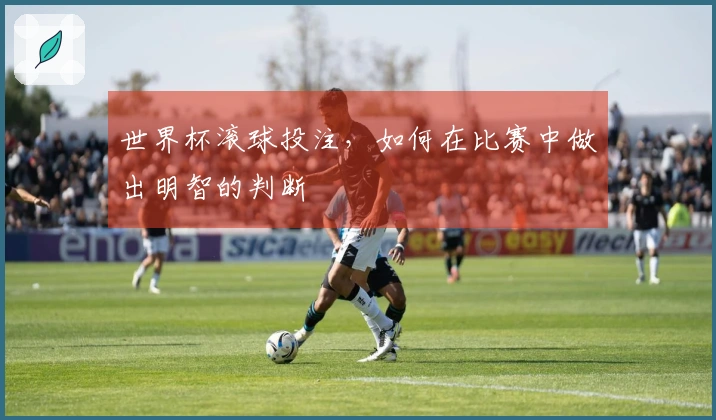 世界杯滚球投注，如何在比赛中做出明智的判断