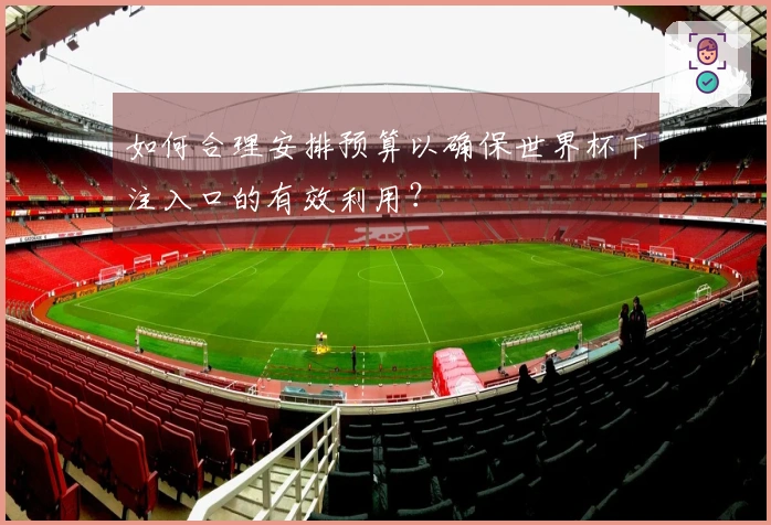 如何合理安排预算以确保世界杯下注入口的有效利用？