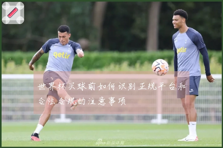 世界杯买球前如何识别正规平台和合法合规的注意事项