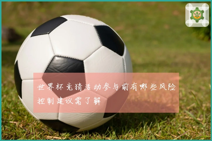 世界杯竞猜活动参与前有哪些风险控制建议需了解