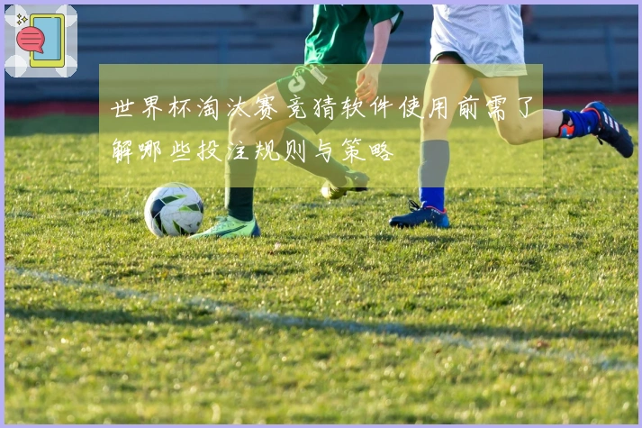 世界杯淘汰赛竞猜软件使用前需了解哪些投注规则与策略