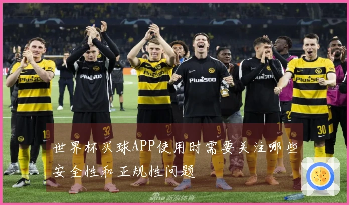 世界杯买球APP使用时需要关注哪些安全性和正规性问题