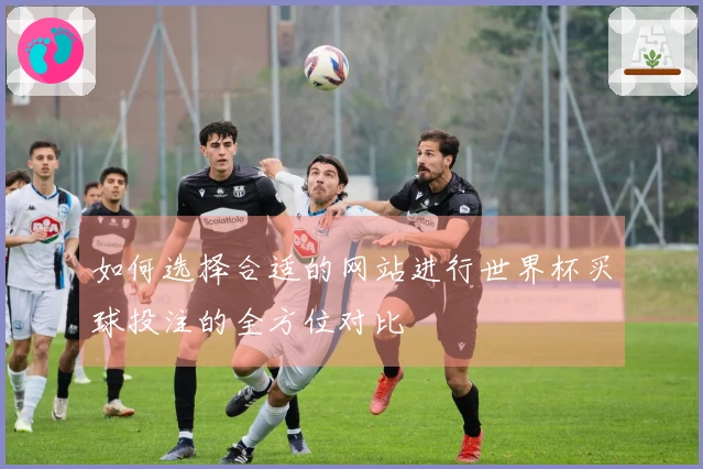 如何选择合适的网站进行世界杯买球投注的全方位对比