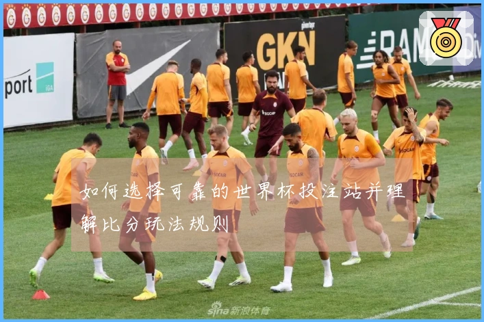 如何选择可靠的世界杯投注站并理解比分玩法规则