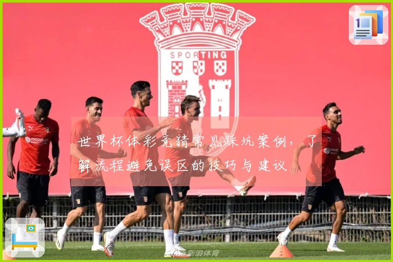世界杯体彩竞猜常见踩坑案例，了解流程避免误区的技巧与建议