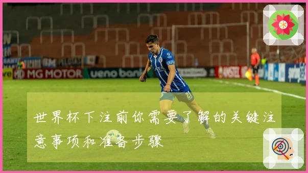 世界杯下注前你需要了解的关键注意事项和准备步骤