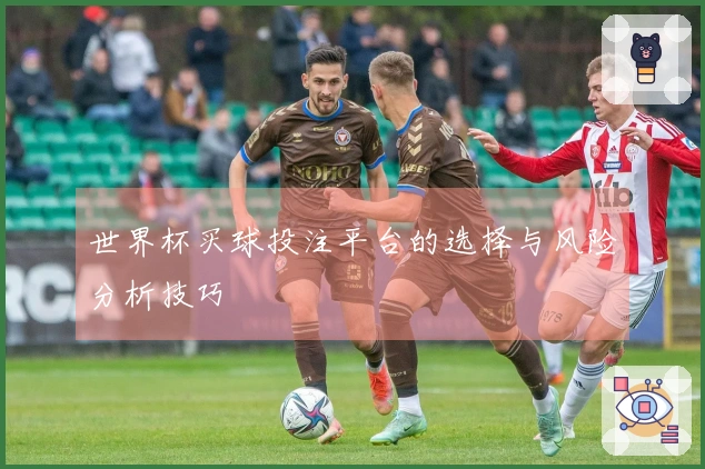 世界杯买球投注平台的选择与风险分析技巧