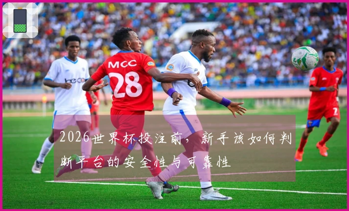 2026世界杯投注前，新手该如何判断平台的安全性与可靠性