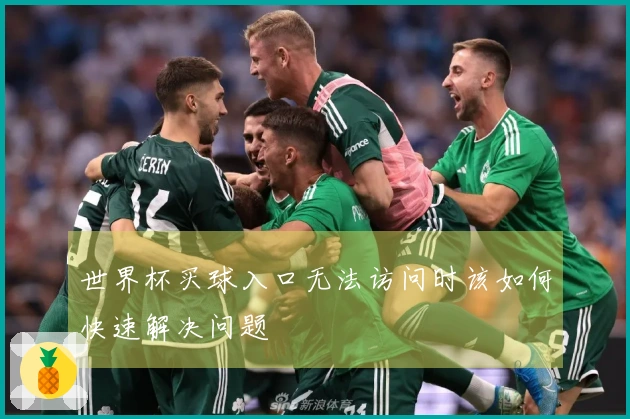 世界杯买球入口无法访问时该如何快速解决问题