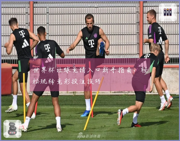 世界杯让球竞猜入口新手指南,轻松玩转竞彩投注技巧