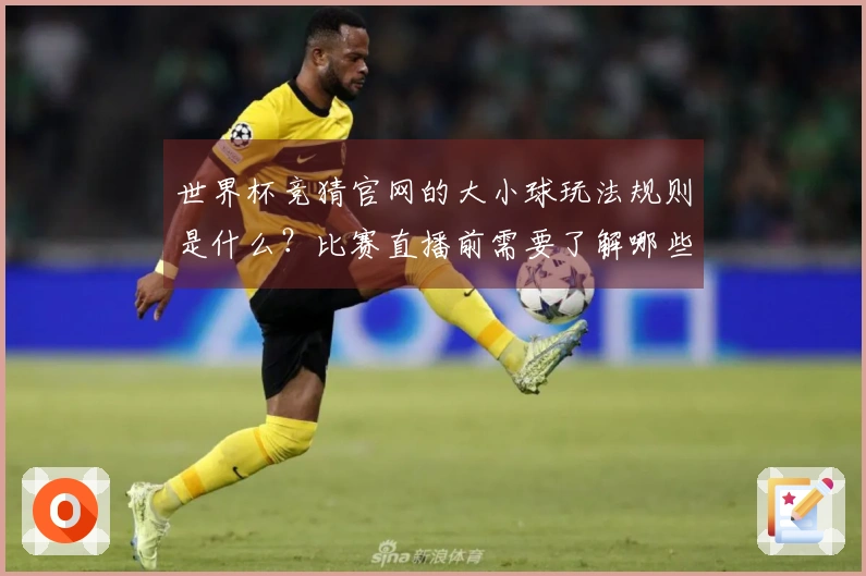 世界杯竞猜官网的大小球玩法规则是什么？比赛直播前需要了解哪些细节？