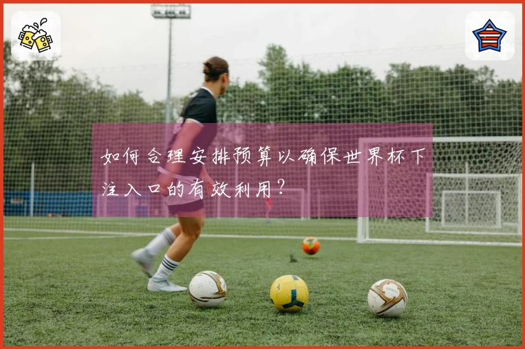 如何合理安排预算以确保世界杯下注入口的有效利用？