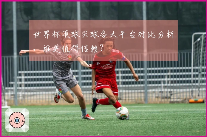 世界杯滚球买球各大平台对比分析，谁更值得信赖？
