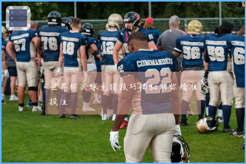 世界杯买球竞猜技巧揭秘助你精准投注