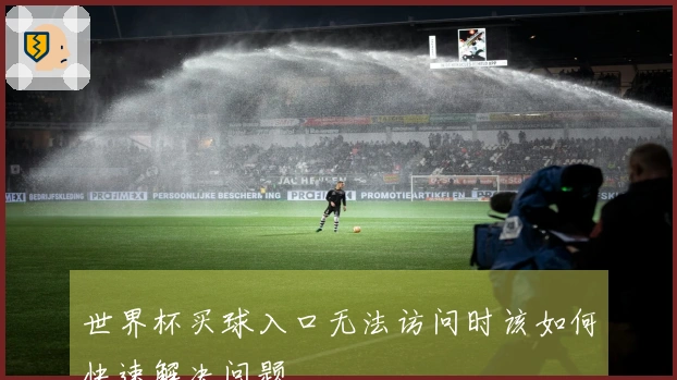 世界杯买球入口无法访问时该如何快速解决问题