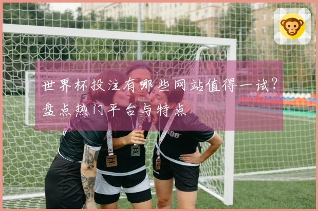 世界杯投注有哪些网站值得一试？盘点热门平台与特点